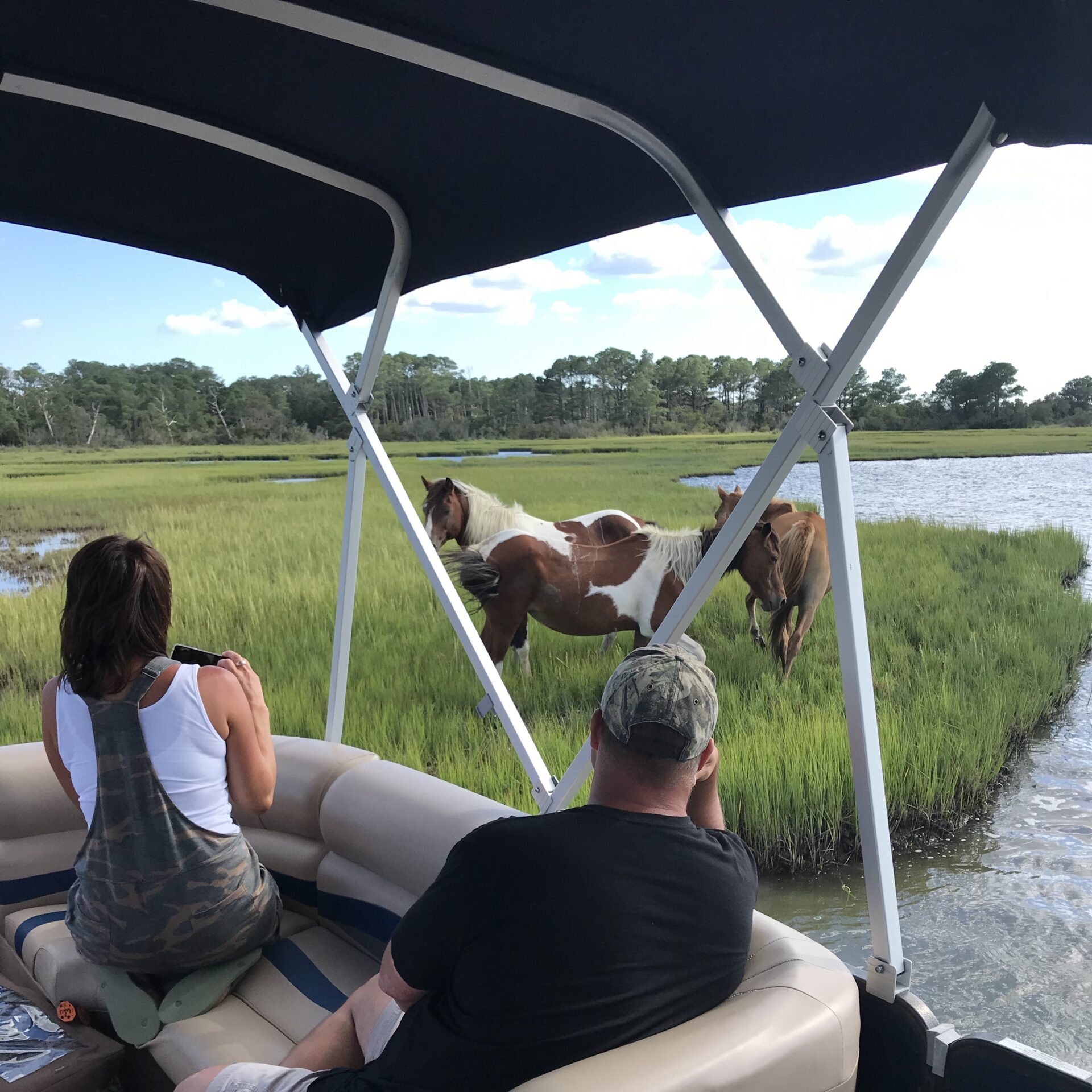 Upthe Bay Pony Tours in P.O. Box 602 Chincoteague, VA 23336